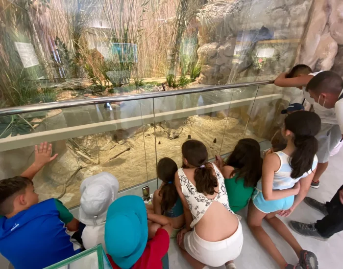 campamento-lagunas-de-ruidera-2026-10