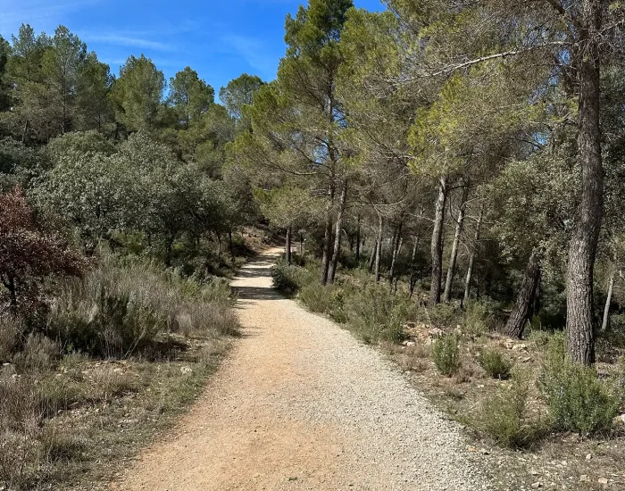 campamento-lagunas-de-ruidera-2026-20